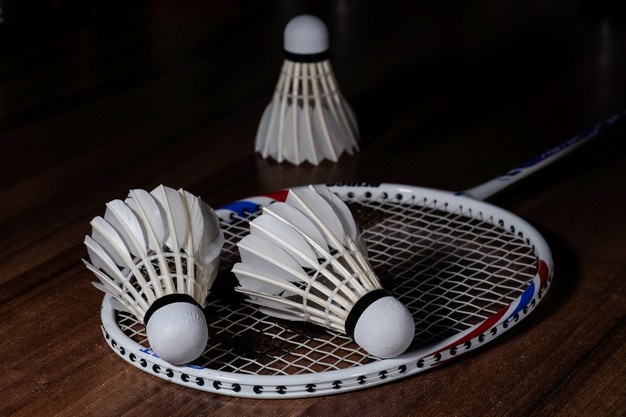 badmintonketcher og badmintonbolde